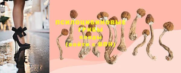 герыч Вязники