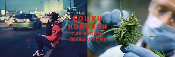 гидра Горняк