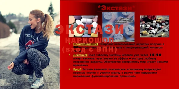 гидра Горняк