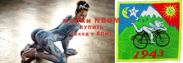 гидра Горняк