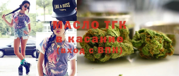 гидра Горняк