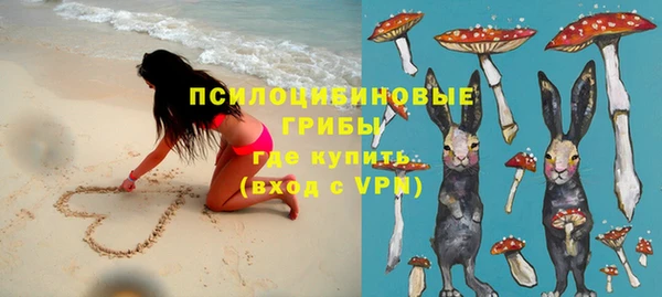 эйфоретик Горнозаводск