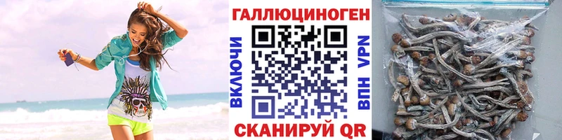 Псилоцибиновые грибы MAGIC MUSHROOMS  где купить наркотик  Нижневартовск 